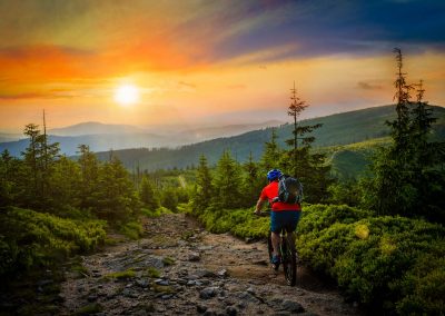 shutterstock_1038205117-web